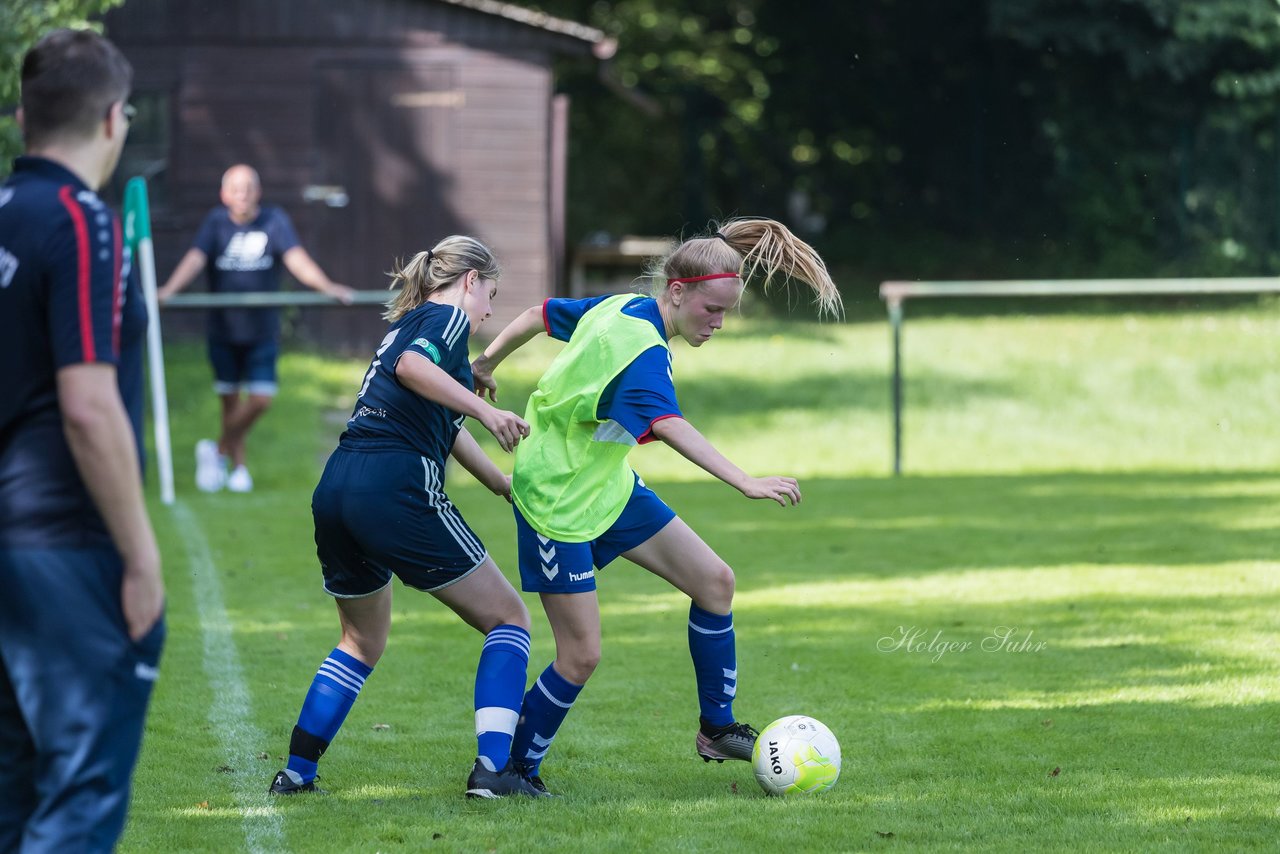 Bild 205 - B-Juniorinnen VfL Pinneberg - HSV : Ergebnis: 1:4